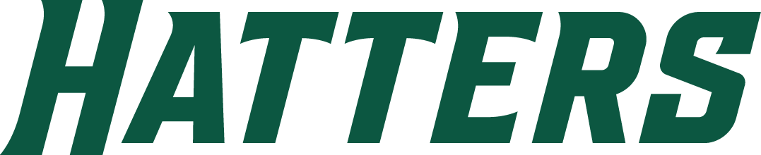 Stetson Hatters 2018-Pres Wordmark Logo v2 diy DTF decal sticker